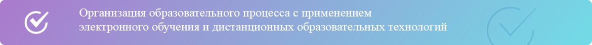 Организация образовательного процесса с применением электронного обучения и дистанционных образовательных технологий