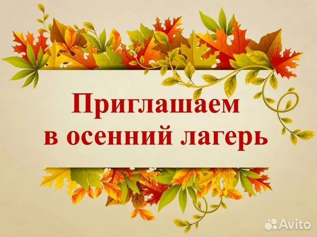 Ведется набор детей в детские лагеря на осенний период.